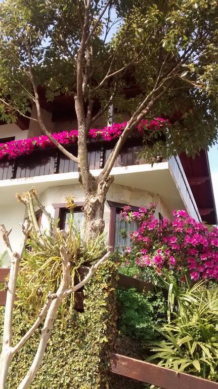 Hospedaria Gastehaus Enzian Treze Tílias Extérieur photo